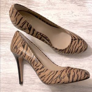 Zebra Saks 5th Ave leather pumps